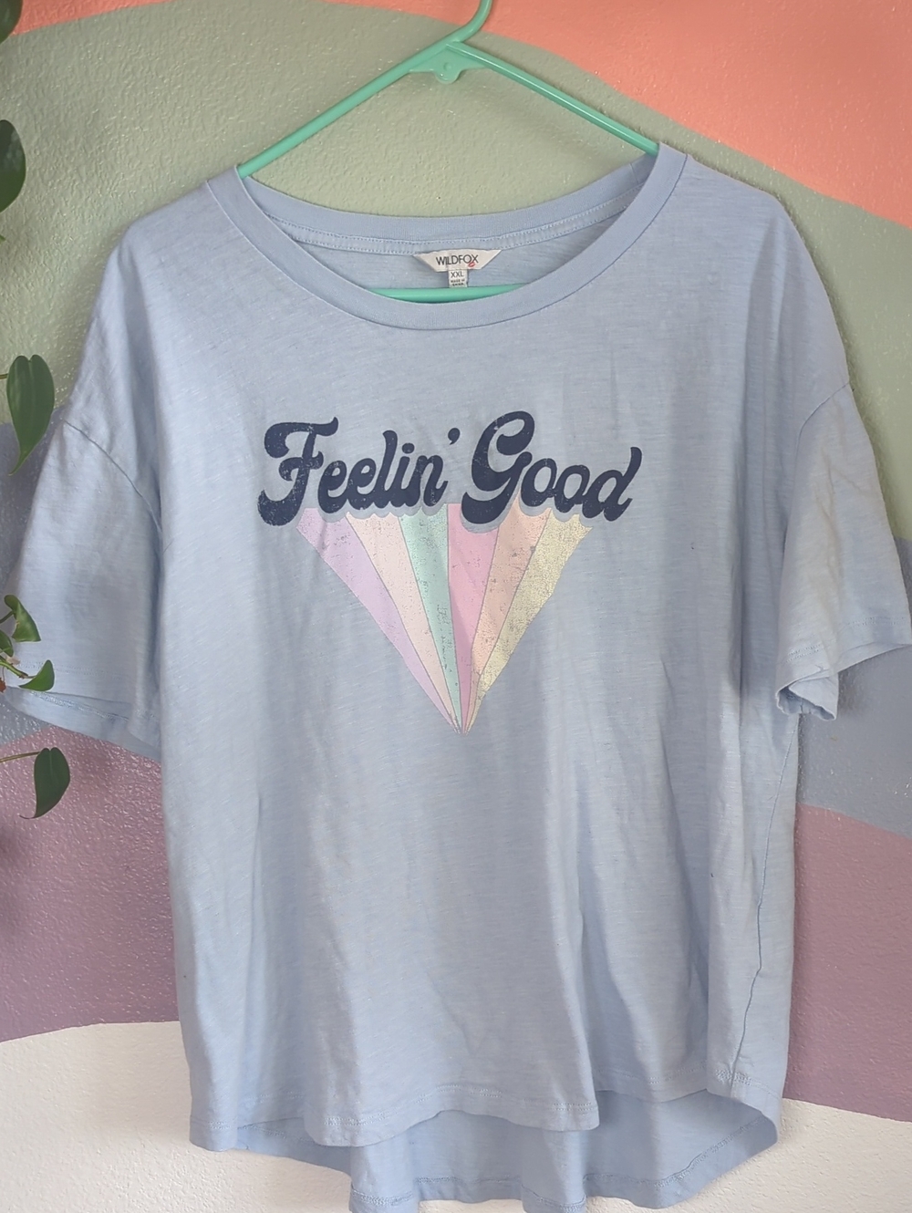 Wildfox Feelin' Good Pastel Graphic Tee